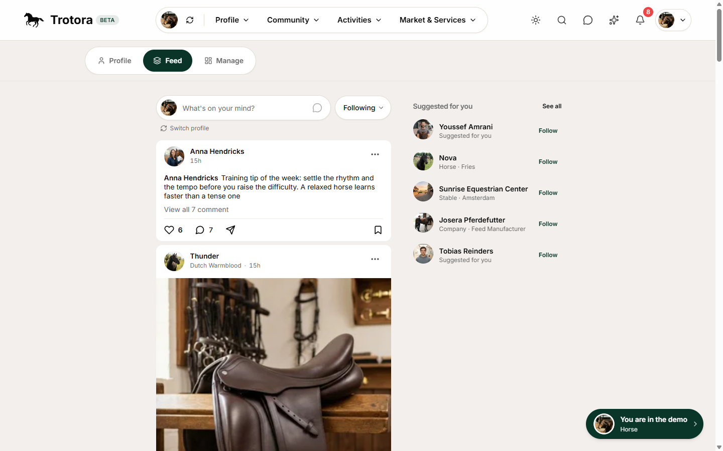 The feed: follow people, horses and stables, react and share.