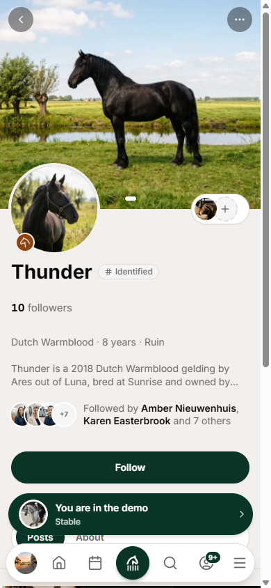 Mobile: a horse's public profile, with followers and timeline.